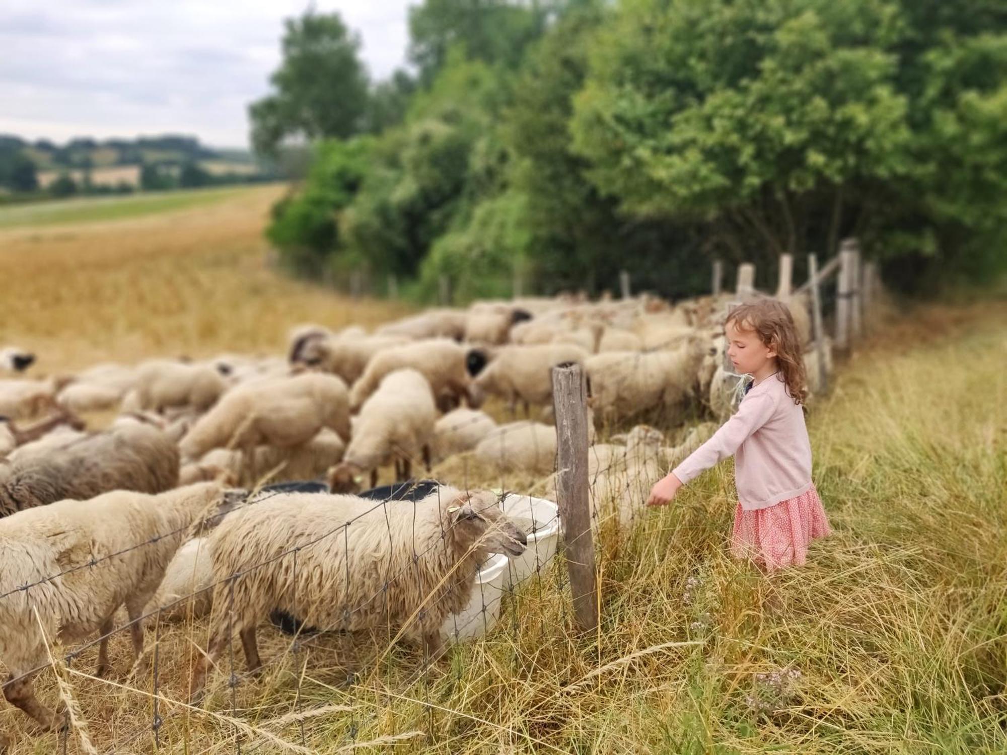 Bij De Secretaris Villa Kanne Buitenkant foto